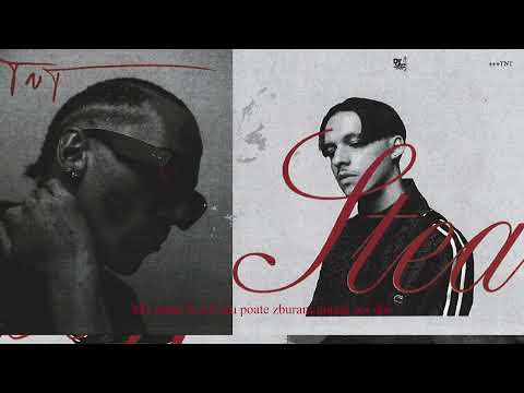 Tussin, Te’ra – STEA | Visualiser