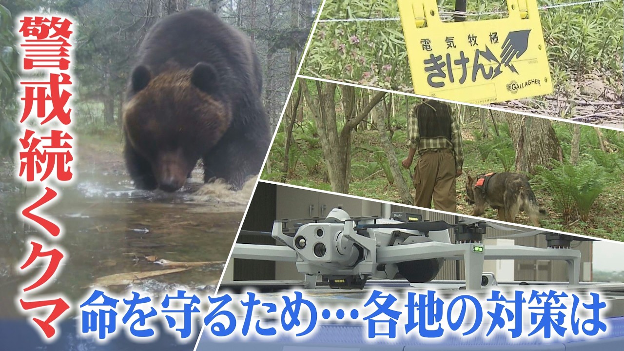 北海道のクマ出没マップ】ヒグマ最前線 | HTBニュース