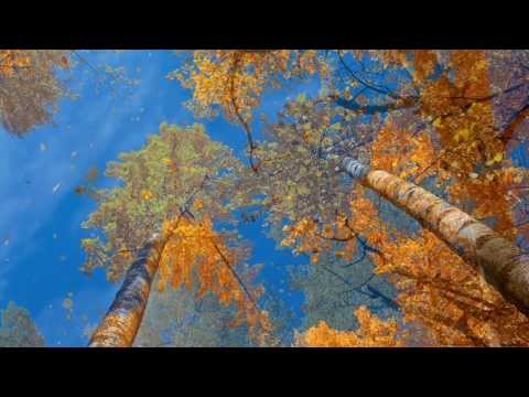 Aura Urziceanu si Aurelian Andreescu - Septembrie