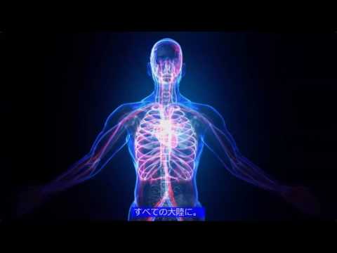 2017 02 19 PM Public Teaching in Japanese - 日本の公共教え