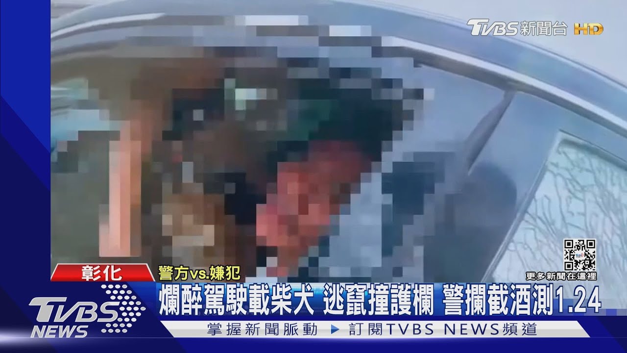 爛醉駕駛載柴犬逃竄撞護欄 警攔截酒測1.24