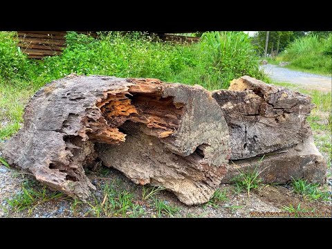 Woodworking: Reviving an Abandoned Tree Stump Found Beneath a Crane Truck - Surprising Outcome