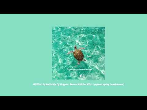 Dj Wiwi Dj Luchshiy Dj Jicypie - Sunset Riddim VOL 1 (speed up)