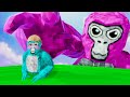 I Secretly Used HACKS In Gorilla Tag