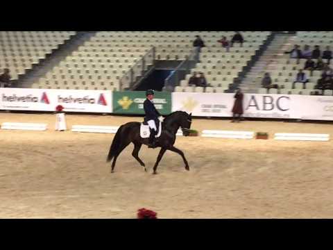 Winner of 5 yr final Copa ANCCE (PRE) SICAB 2017 - 81,80%