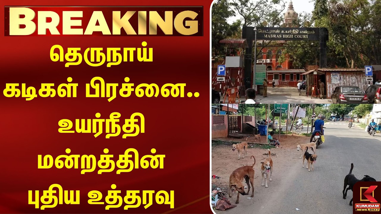 தெருநாய் கடிகள் பிரச்னை.. உயர்நீதிமன்றத்தின் புதிய உத்தரவு | DogBite | Highcourt | Kumudam News தெருநாய் கடிகள் பிரச்னை.. உயர்நீதிமன்றத்தின் புதிய உத்தரவு | DogBite | Highcourt | Kumudam News
