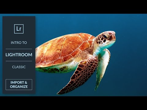 How to Set Up and Use a Wacom Tablet