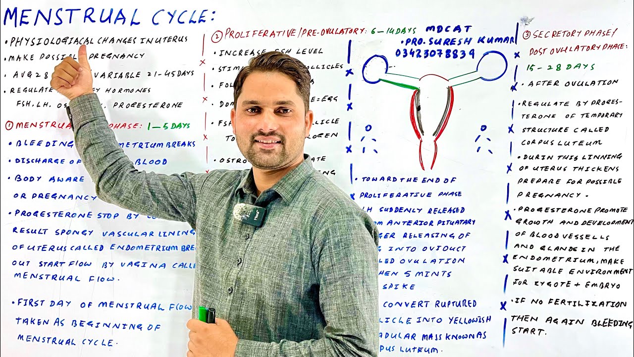 Menstrual cycle and it's hormones|Menstrual cycle and it's hormones|MDCAT|Hindi Urdu| Pro. Suresh