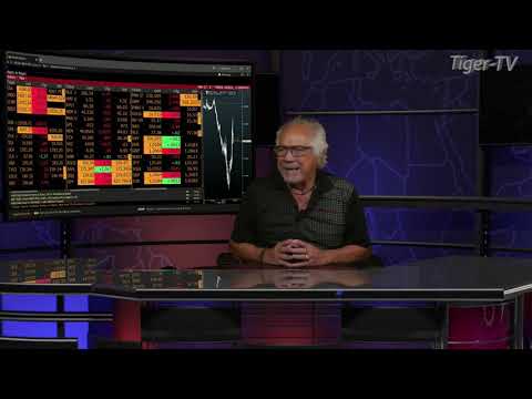 August 17th, 3PM ET Market Update on TFNN - 2022