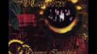 Misanthrope-Le Roman Noir