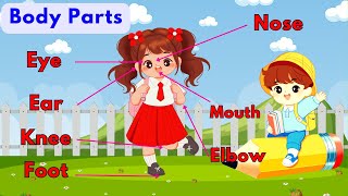 Educational Body Parts Video for Kids | Learn About the Human Body