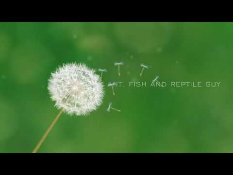 Thank you 12 Subscribers