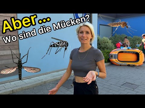 This is the most annoying thing about camping in Venice 🦟 Pra delle Torri | Caorle