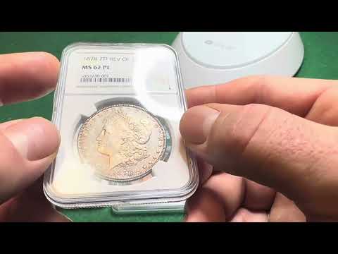 1878 Morgan Dollars Major Varieties Set