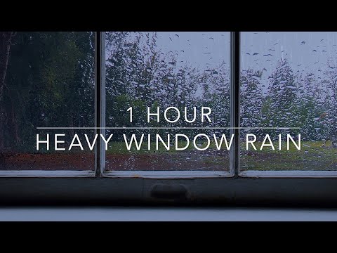 Rain on Window - Sleep Sounds Rain - 1 hour Rain ASMR