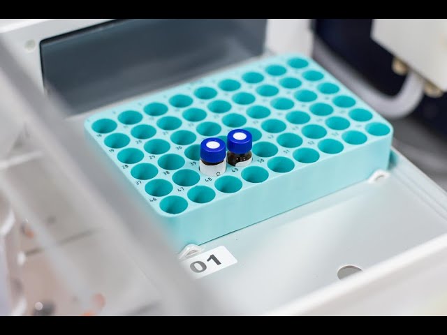 imagen-video-thefoodtech