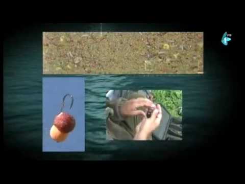 Čari Ribolova,na pesku Apatinskog limana (17.03.2017)