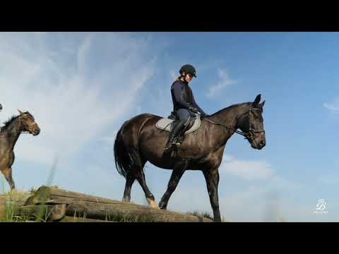 Bollerup Naturbruksgymnasium