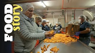 Thumbnail del capítulo