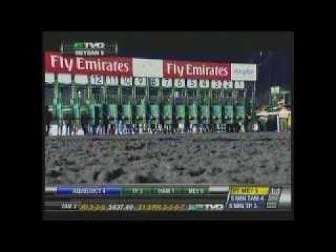 Animal Kingdom 2017 Dubai World Cup