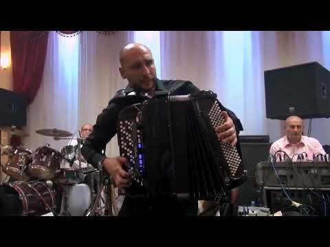 Aca Cergar otkinuo harmoniku