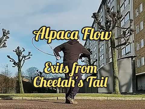 Rope Flow - The dirty dozen (exits from the Cheetah's Tail)
