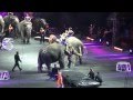 Ringling Bros The Greatest Show On Earth Circus