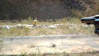 38 Special 110 grain hollow point