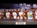Bodybuilding up to 90kg at Russia Nationals 2012 (1st call out)