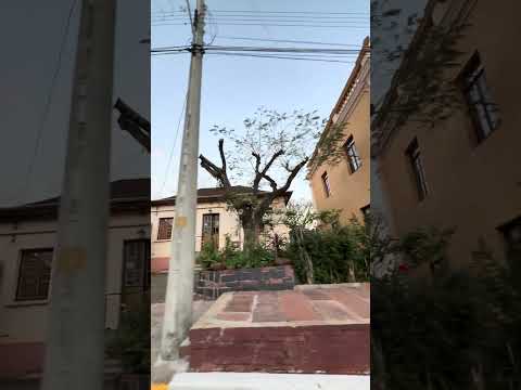 Já conhece Santa Tereza, no Rio Grande do Sul? #santatereza #riograndedosul #rota