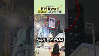 다같이 원이 보고옴
