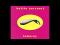 Bettie Serveert - Silent Spring (1995)