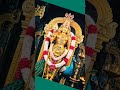 🪷 🪷God Murugan Whatsapp Status Song In Tamil Lord Muruga Youtube Shorts Reels God Songs