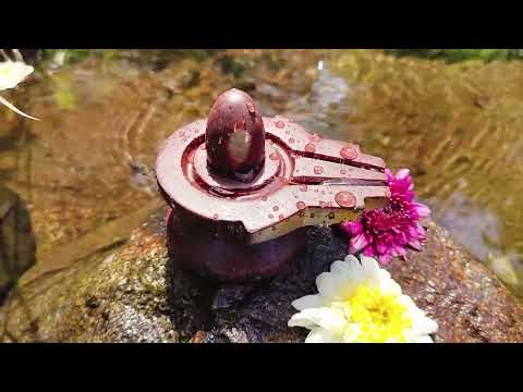 Omkar Bholenath Siddha Shivling Set video