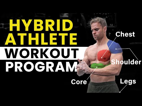 Muscle Building Program | HYBRID ATHLETES