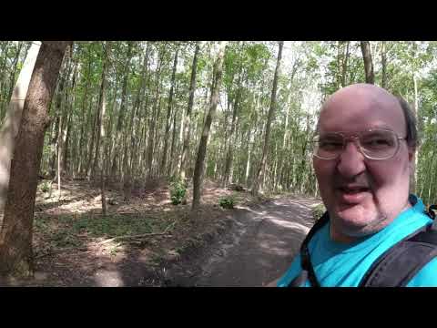 MongoTV_3506 - Danish Vlog - Del 2 - Skovtur i Frederiksdal ONSDAG 21.August 2019