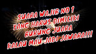 Download lagu SUARA BURUNG ELANG DURASI PANJANG #masteran burung paling dicari mp3