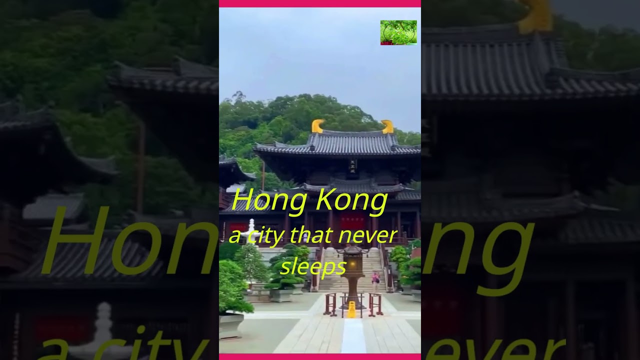 Hong Kong: a city that never sleeps