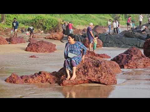 Japanese Garden Beach, Sada, Goa