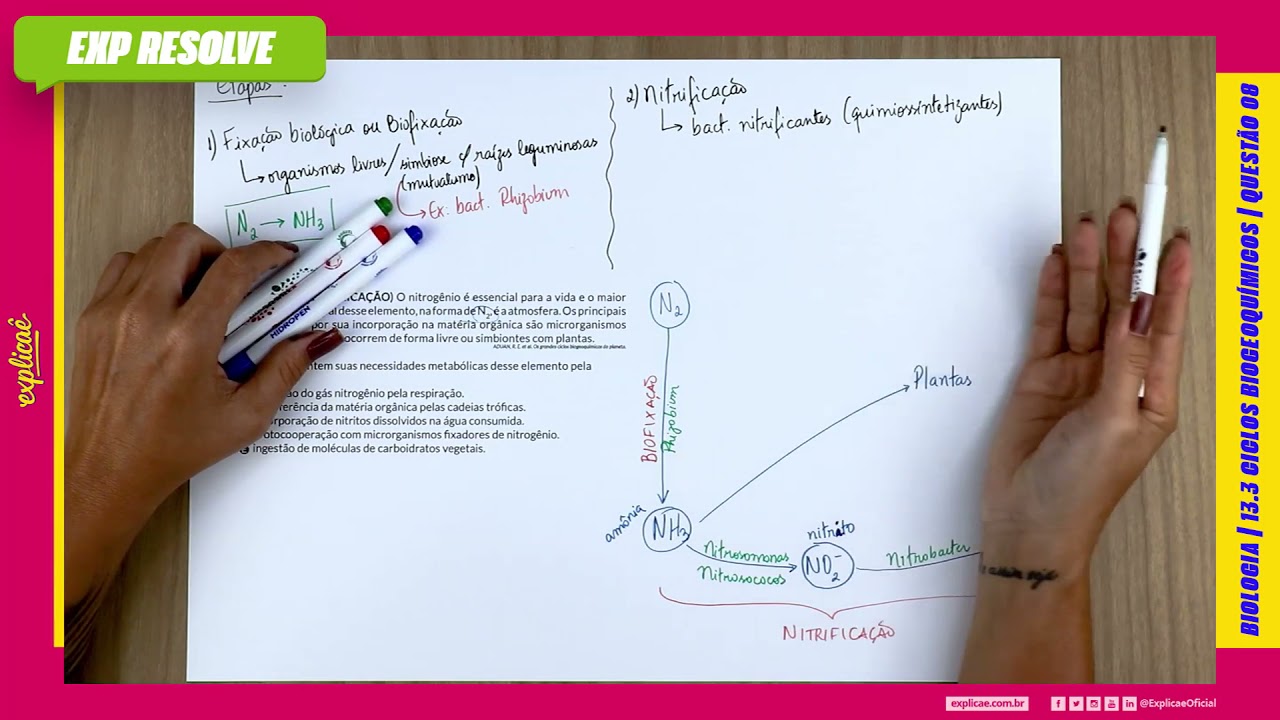 O NITROGÊNIO É ESSENCIAL PARA A VIDA E O MAIOR RESERVATÓRIO GLOBAL (...) | CICLOS BIOGEOQUÍMICOS