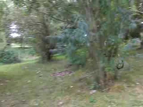 risstissen-bmx-baggersee