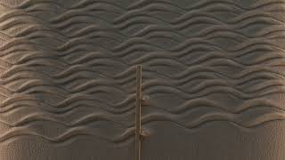 Zen Garden - Exploration 17 (Texture Study)