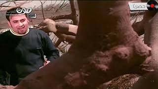 كلمات اغنية عدى عليا مجد القاسم