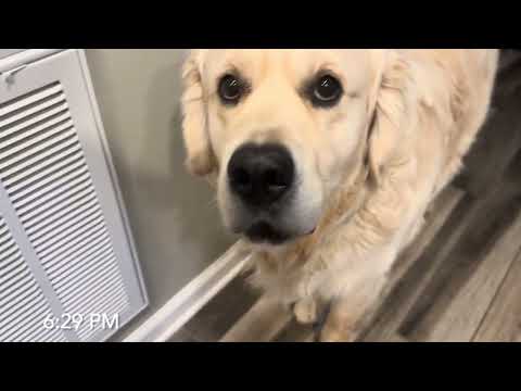 051125 Jazer CSAT Mission #W25- 5