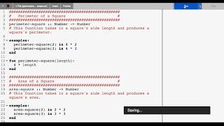 Computational Modeling in Physics: Intro to Pyret Functions