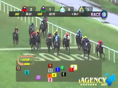 SINGAPORE RACE 24/11/2013 RACE 10 - iAgencyNet.com