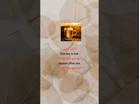 Basic sentences. #Kashmiri Speaking Course | Kashmiri language learning| #vocabulary  #trending