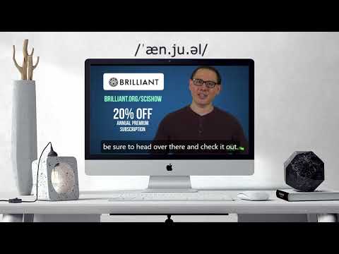 How to pronounce annual | annual pronunciation practice/guide/exercises