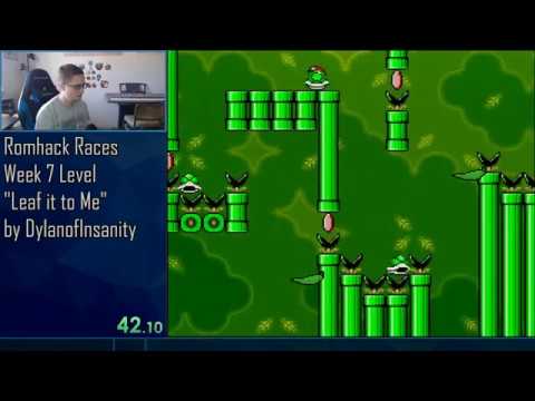Romhack Races! Week 8 - "Leaf it to Me" by DylanofInsanity