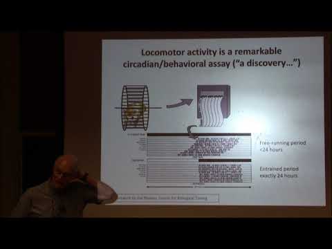 Circadian Rhythms:  Past, Present and Future - Michael Rosbash